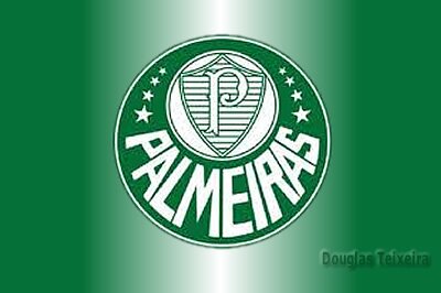 Palmeiras segue sem manter a regularidade